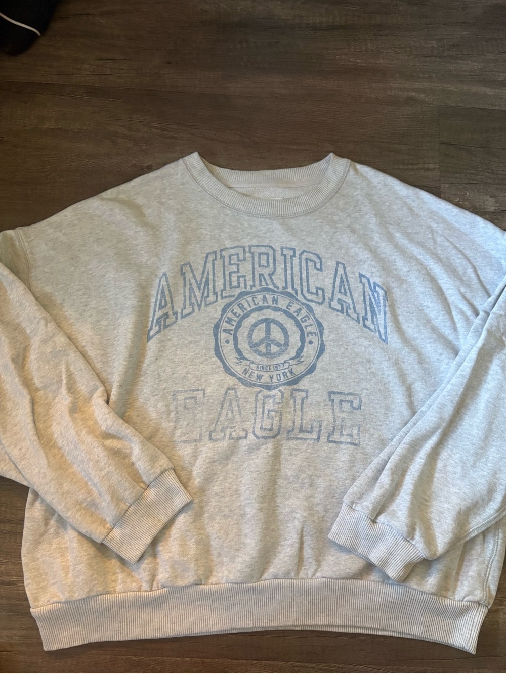 American Eagle Graphic Crew Neck Sweater